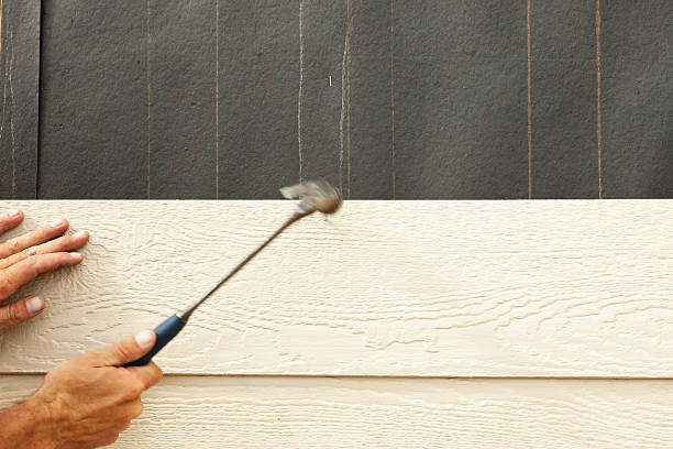 Best Siding for New Construction  in Nikiski, AK