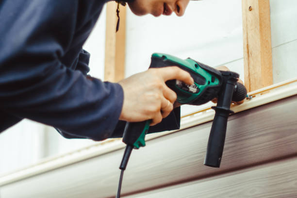 Best Siding Painting and Refinishing  in Nikiski, AK